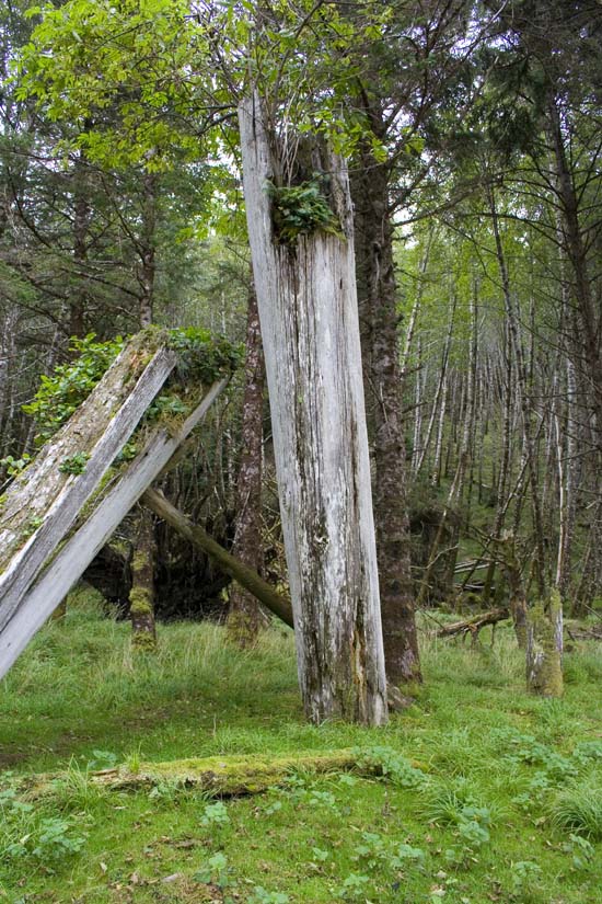 Mortuary pole Haida